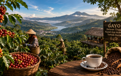 Karya Dosen di Media : Menyusuri Dataran Tinggi Gayo, Rumah bagi Kopi Arabika Terbaik Dunia